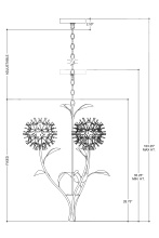 Images Shw9000-1081_13.jpg